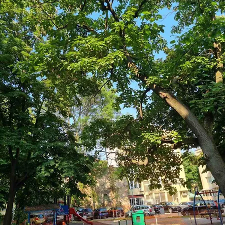 Apartament Teodora